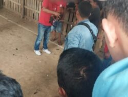 Pertarungan Sabung ayam Antar Provinsi di Cempedak Sagulung Bebas Beroperasi, Raup Keuntungan Puluhan Juta