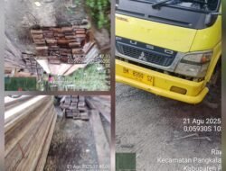 Di Minta Aparat Penegak Hukum di Wilayah Pelalawan Tertibkan Yang Diduga Ilegal Logging,Merusak Kelestarian Hutan